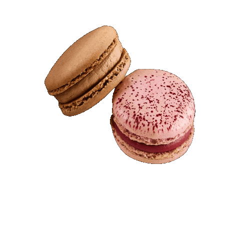 Cake Macarons Sticker by Isabella Glutenfreie Patisserie