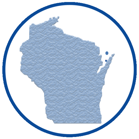 Vote Voting Sticker by Wisconsin Democrats