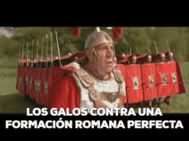 silviagilabertfontanals  GIF