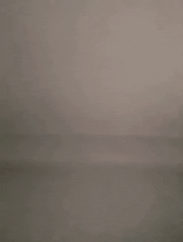Shark Throw GIF