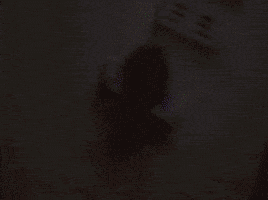 https://media2.giphy.com/media/eS1lKEnFu37eo/200.gif#10-grid1