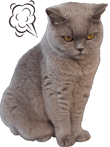 Reaction Sticker