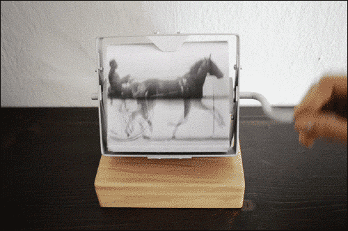 horse