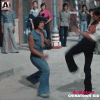 Martial Arts Reaction GIF by Arrow Video