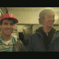 animal collective
