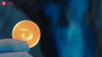 Crypto Cryptocurrency GIF by Divi Project