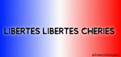 Le Pen Pamela Chougne GIF