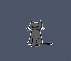 Cat GIF