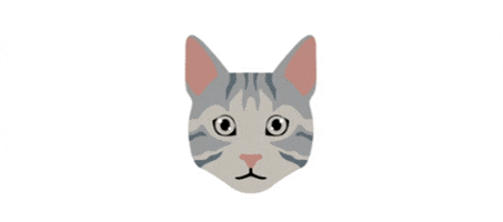 SpaAlder GIF