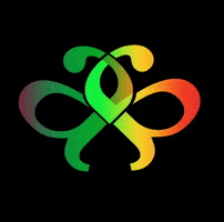 Afagos GIF