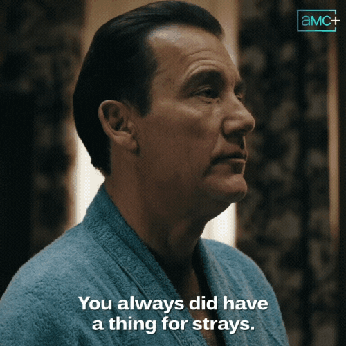 Adopt Clive Owen GIF by AMC Networks