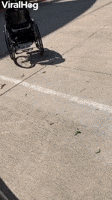 Rolling-wheelchair-returns GIFs - Get the best GIF on GIPHY