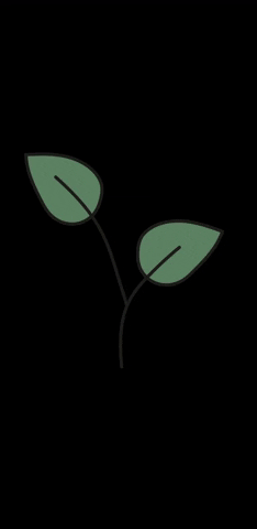 VanderPlassprouts food green healthy Sprout GIF
