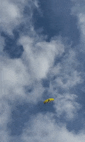Kite Flying Uk GIF by Storyful