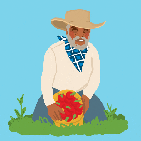 Digital art gif. Animated older man with a white beard kneels in the grass while holding a basket filled with fresh tomatoes. We can see his happy eyes underneath his sunhat.