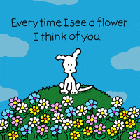 I Love You Flowers GIF by Chippy the Dog