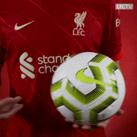 Premier League Reaction GIF by Liverpool FC