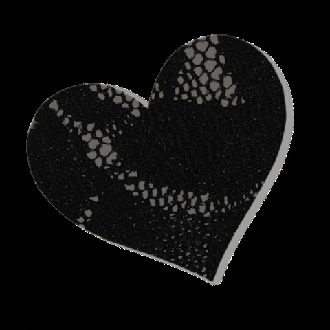 b-six heart lace blackheart nippies GIF