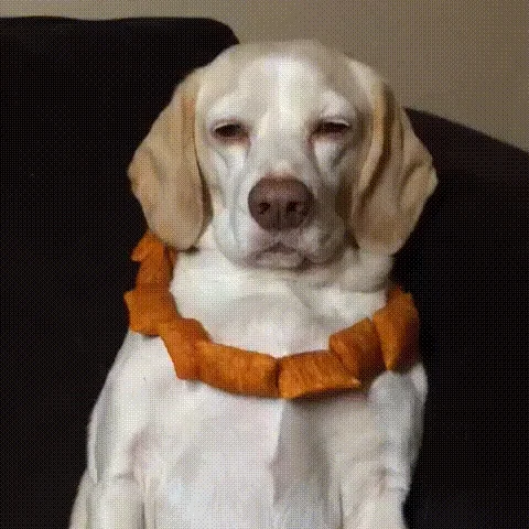 pizza rolls necklace GIF
