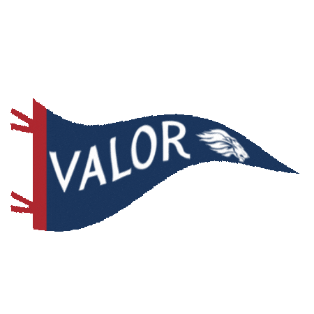 Sticker by Valor Christian Academy
