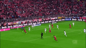 goal win GIF by FC Bayern Munich