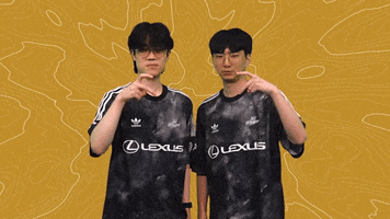 Esports Gg GIF by 100 Thieves