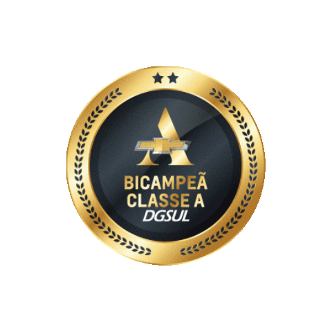 DGSUL Chevrolet Sticker