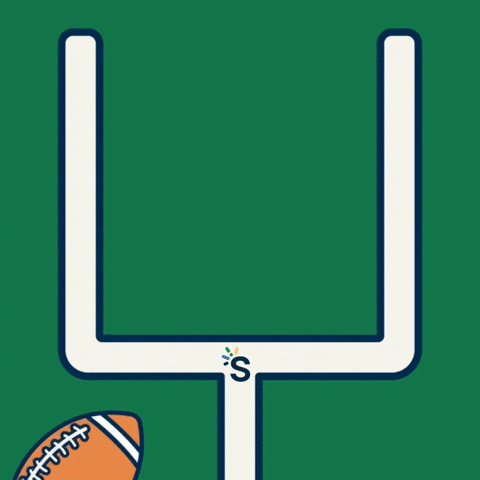 Football Goal GIF by Snap Finance