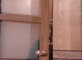 Entrance GIF