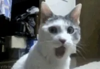 spacer.png
