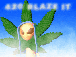 Blaze It Pot Leaf GIF by GIPHY Studios Originals