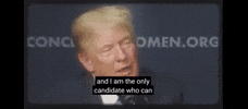 Donald Trump Fun GIF