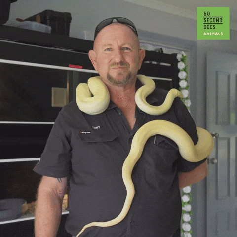 Snake Guy GIFs - Get the best GIF on GIPHY