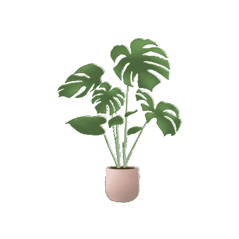 Plant Leaves Sticker