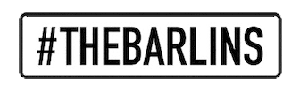 Wedding Thebarlins Sticker by La Iaia