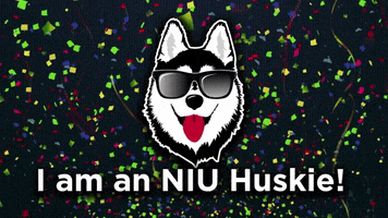 niu huskies GIF by Northern Illinois University