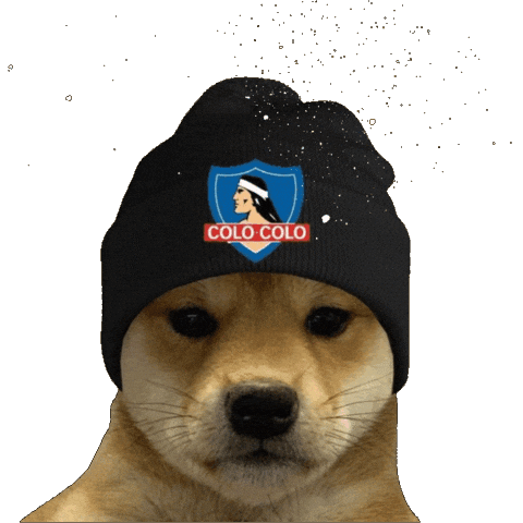 Colo-Colo Sticker