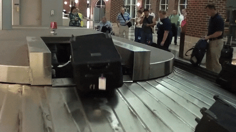 baggage GIF