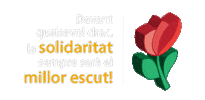 Rosa Catalunya Sticker by Casal dels Infants