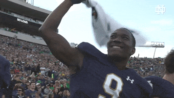 Notre Dame Ndfb GIF by Notre Dame Fighting Irish