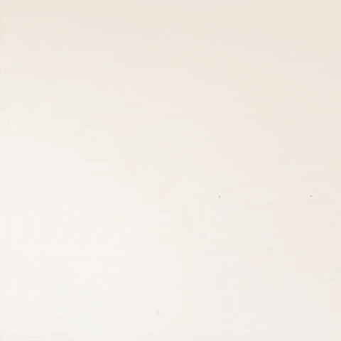 Boomf GIF