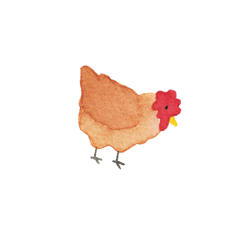 Chicken Sticker