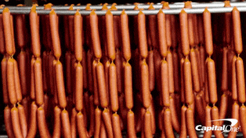 dogs treats GIF by Capital One