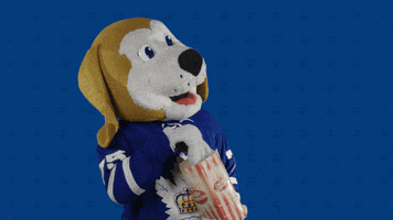 Dog Popcorn GIF by Toronto Marlies