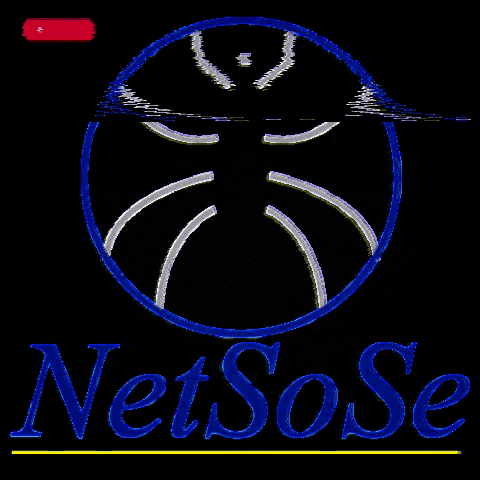 Networking GIF by netsose