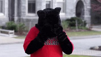 Cry Reaction GIF by Haverford College