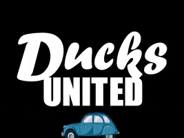 Ducks United Ibiza GIF
