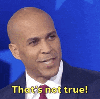 Democratic Debate Thats Not True GIF by GIPHY News