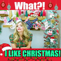 Christmas Decoration What GIF by Fleecefun