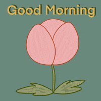 Goodmorning-kiss GIFs - Get the best GIF on GIPHY Goodmorning-kiss GIFs - Get the best GIF on GIPHY